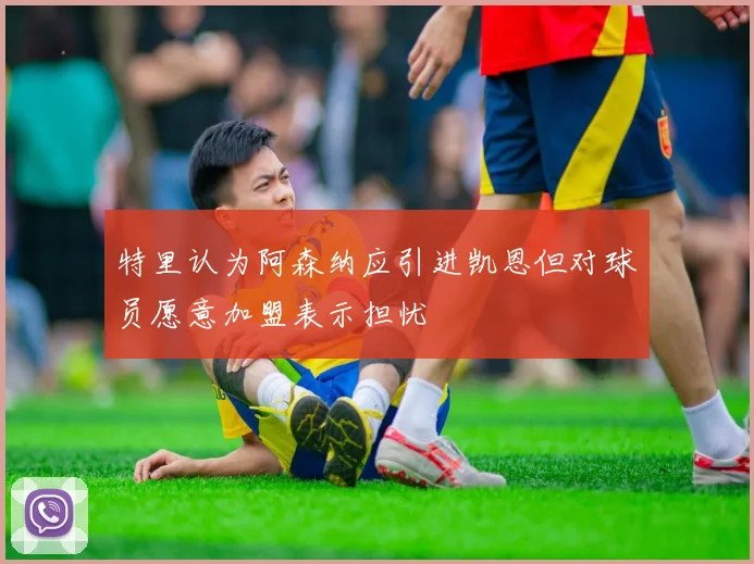 特里认为阿森纳应引进凯恩但对球员愿意加盟表示担忧